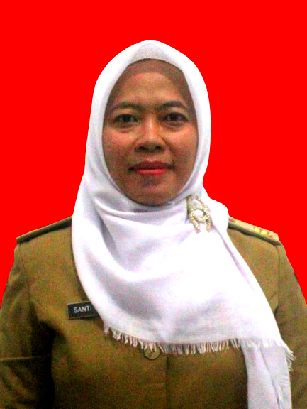 SANTI HARMILA, S.IP